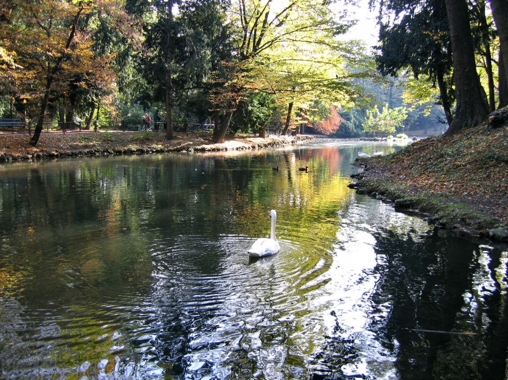 PASSEGGIATA NEL PARCO DI MONZA